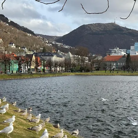 Apartment View In Center Of - 3 Bedrooms *