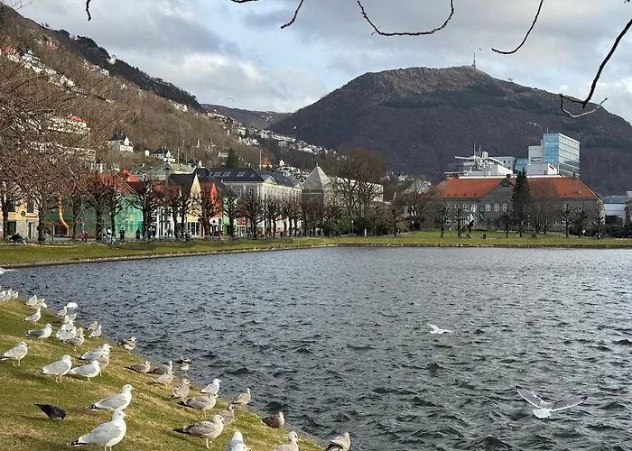 Apartment View In Center Of - 3 Bedrooms *