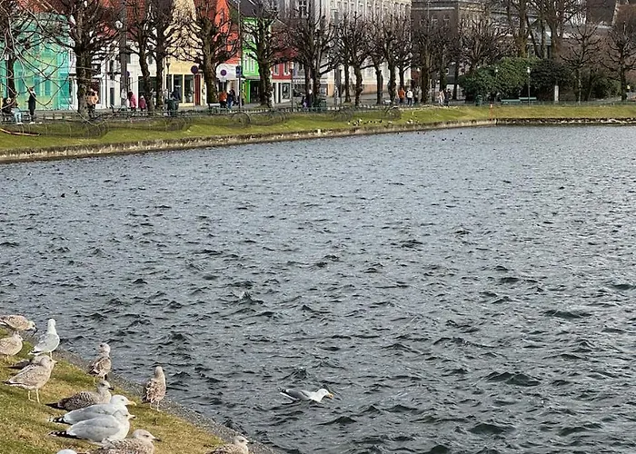 Apartament View In Center Of - 3 Bedrooms *